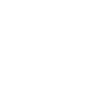 picto linkedin