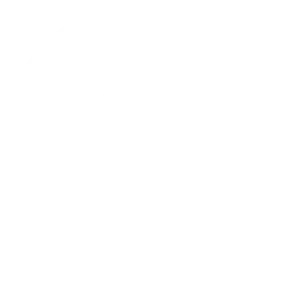 picto linkedin