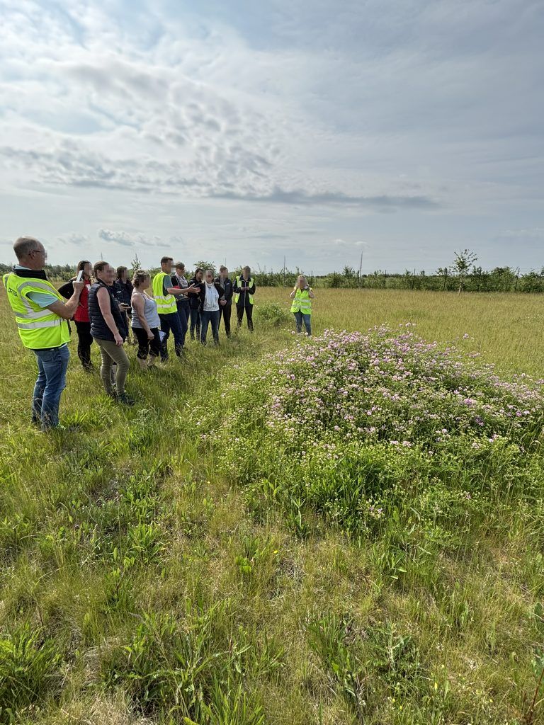 visite inventaire biodiversité du site logistique de Logtex